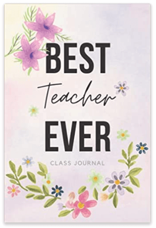Best Teacher Ever - Daily Reflection Class Journal For Teachers