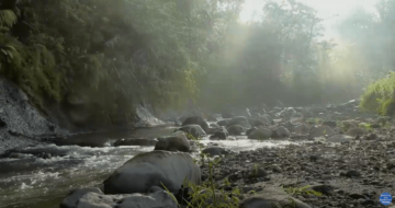 Running Stream Water Sounds For Relaxation Sleep And Focus
