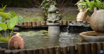 Soothing Summer Rain